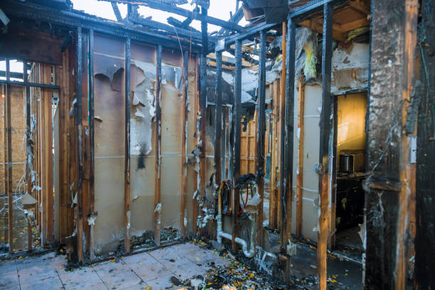 Professional Fire Damage Removal technician working in Osprey, FL