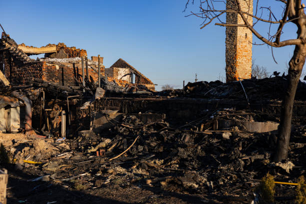 Reliable Fire Damage Removal contractor in Osprey, FL by Fire Damage Doption